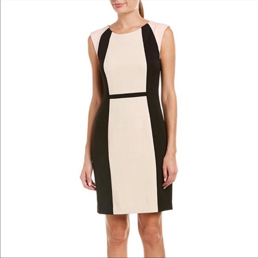 Tahari color block dress